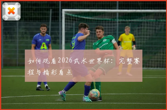 如何观看2026武术世界杯:完整赛程与精彩看点