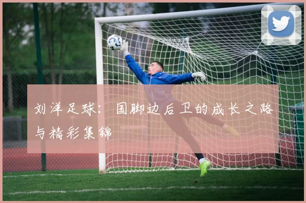刘洋足球:国脚边后卫的成长之路与精彩集锦