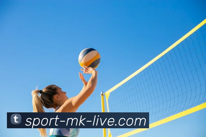 mk体育官方网站精彩赛事尽在MKSPORTS发展历程